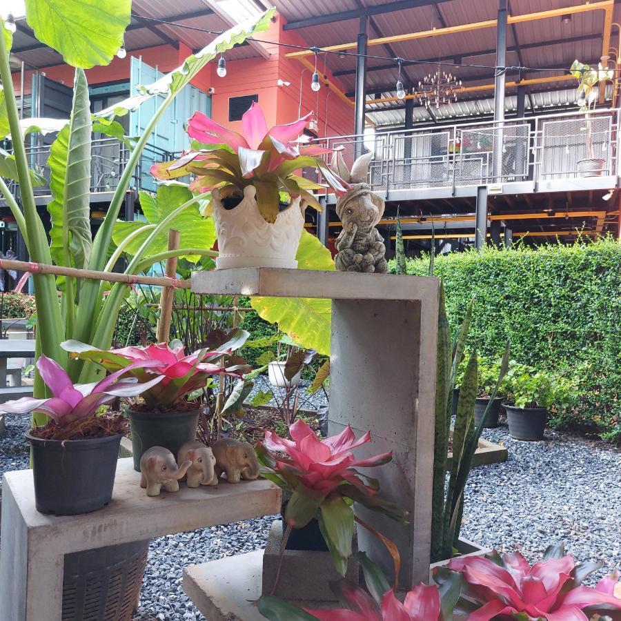 Kipbox Hotel Trang Bagian luar foto