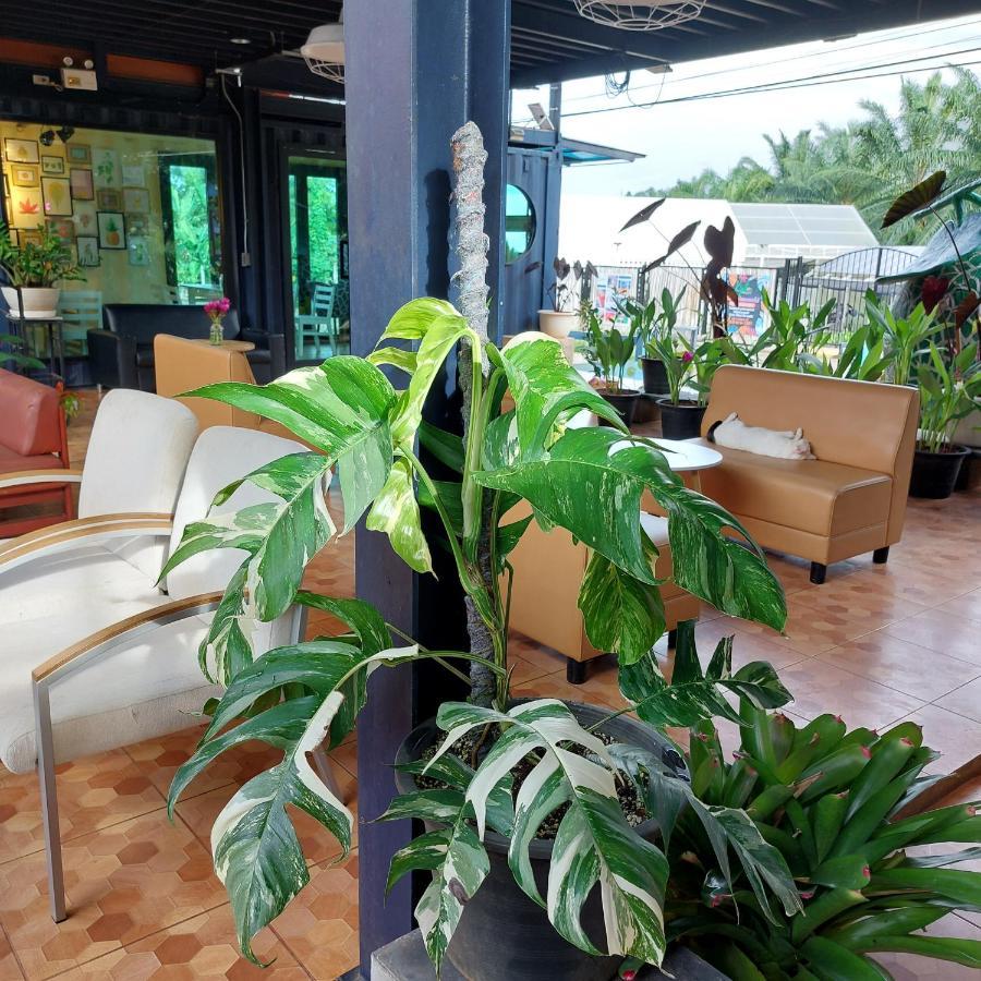Kipbox Hotel Trang Bagian luar foto